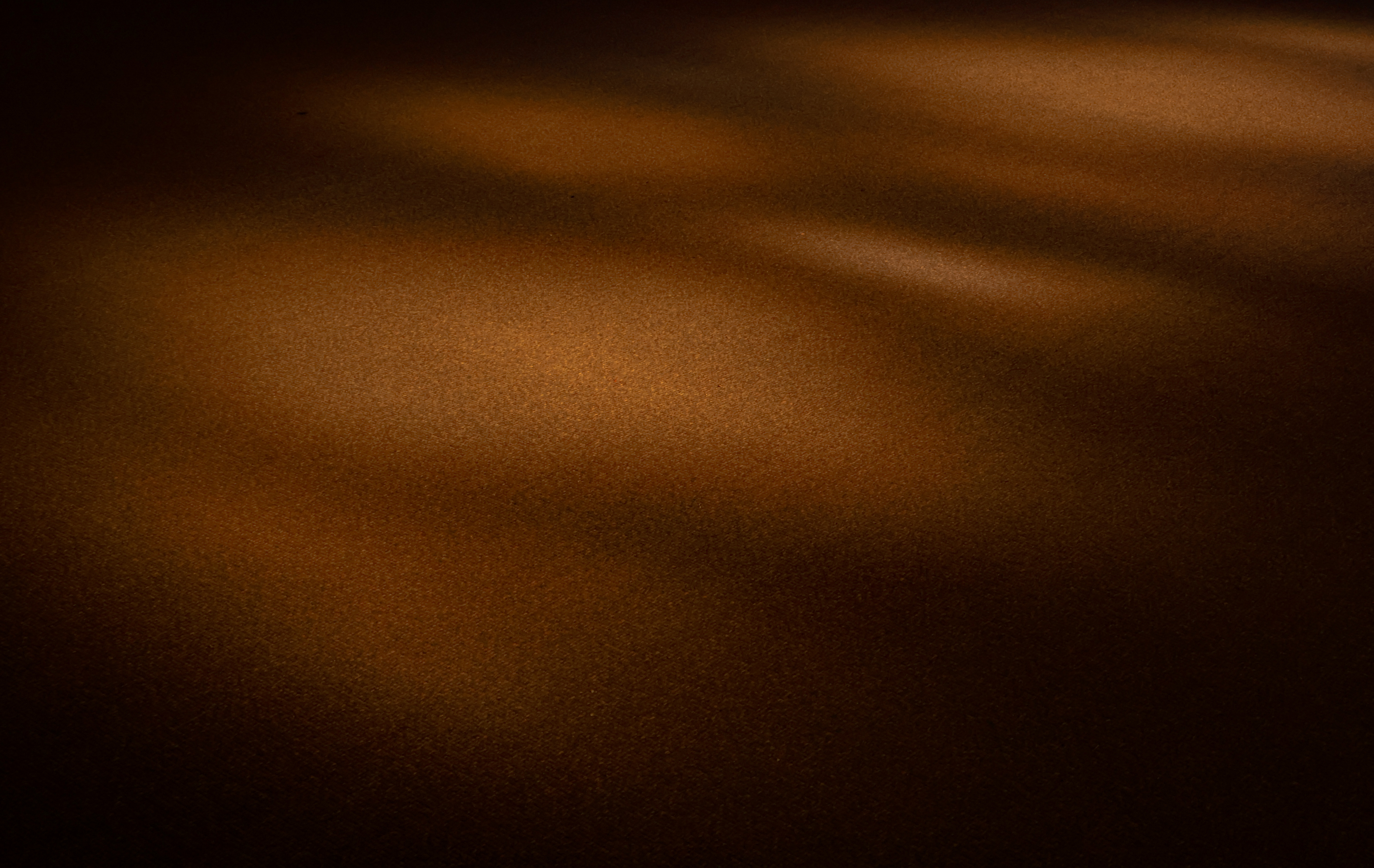 the softness of light's gaze